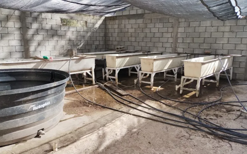 Destina Estado más de 10 mdp para fortalecer infraestructura acuícola y pesquera en Chihuahua