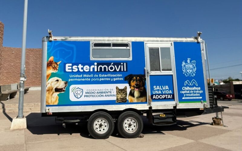 Estará Esterimóvil del Municipio en Valle Dorado con servicios gratuitos para perros y gatos  – Esterilizar ayuda a prevenir el abandono y evita que más animalitos terminen en situación de calle