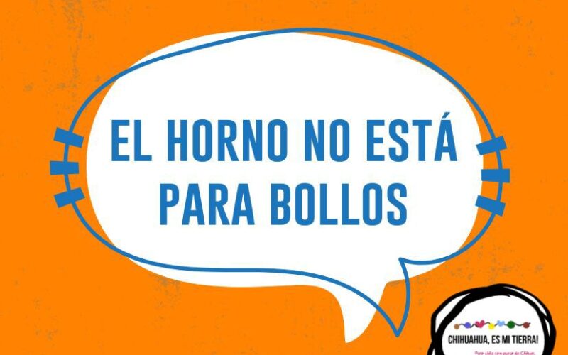 Chihuahua; El horno no está para bollos.