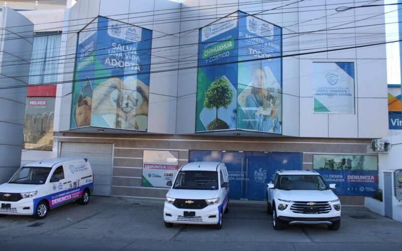 Mantiene Municipio el servicio de esterilización permanente en la Coordinación de Medio Ambiente y Protección Animal