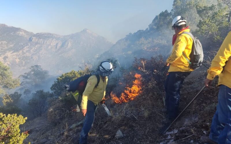 Llama SDR a reforzar medidas de prevención contra incendios forestales