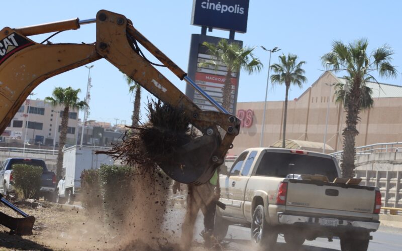 Mejora Gobierno Municipal imagen urbana con Mega Operativo de Limpieza en el Periférico de la Juventud