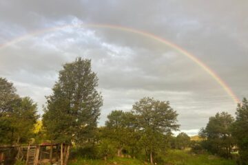 Emite Protección Civil alerta amarilla por vientos fuertes ante ingreso de la Cuarta Tormenta Invernal