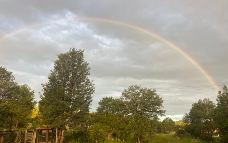 Emite Protección Civil alerta amarilla por vientos fuertes ante ingreso de la Cuarta Tormenta Invernal