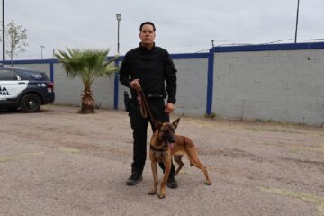 Elementos caninos K-9, listos para velar por la seguridad de la comunidad chihuahuense