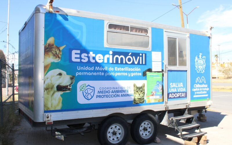 Fortalece Municipio protección animal con esterilizaciones para perros y gatos