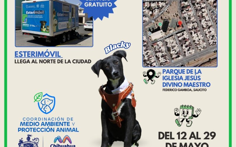 Esterimóvil del Municipio llega a colonia Saucito; hay esterilizaciones gratuitas para mascotas
