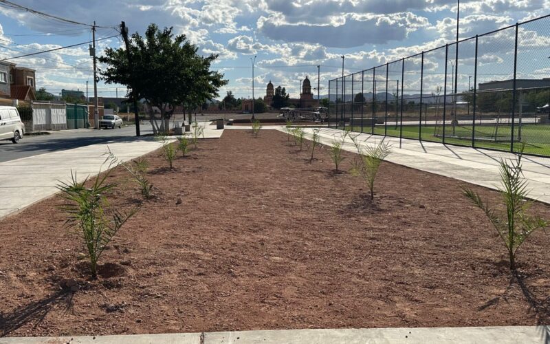 Realizan la forestación de 100 árboles en el Polideportivo Luis H. Álvarez