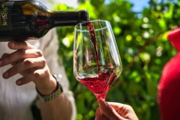 Industria del vino impulsa a Chihuahua como referente nacional