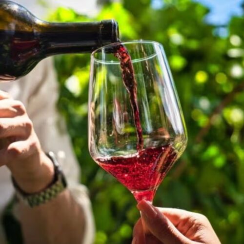 Industria del vino impulsa a Chihuahua como referente nacional