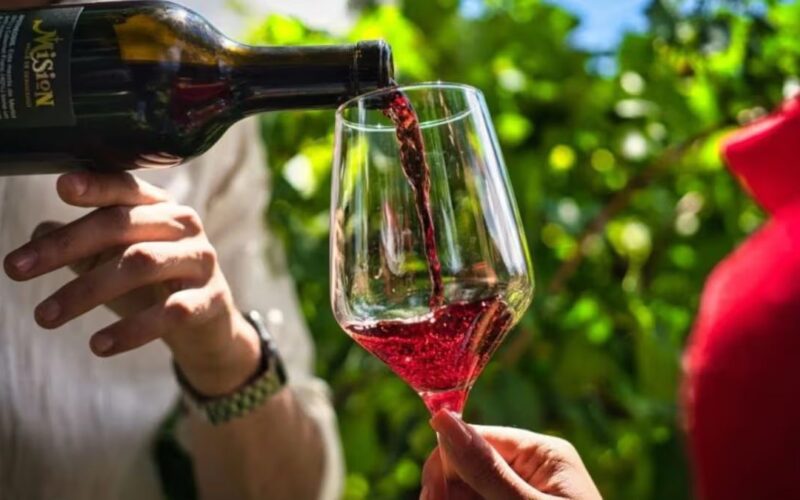 Industria del vino impulsa a Chihuahua como referente nacional
