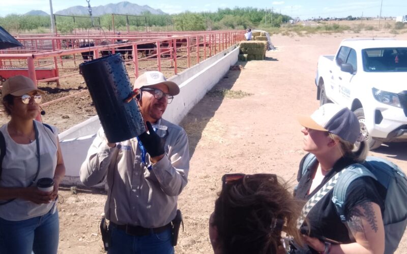 Reubican trampas como estrategia de blindaje contra el Gusano Barrenador del Ganado en Chihuahua
