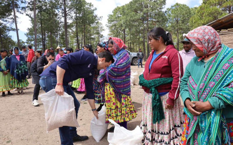 Entrega SPyCI apoyos alimentarios y productivos en Bocoyna