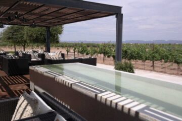 Chihuahua descorcha una nueva era: se consolida como la capital emergente del vino mexicano