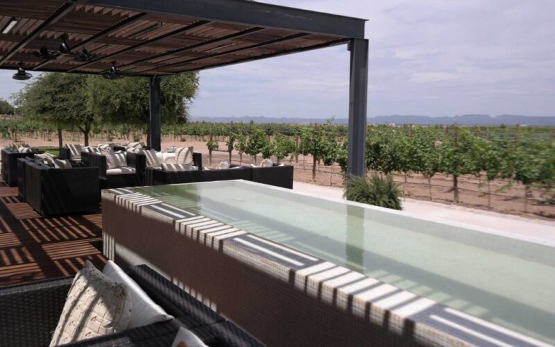 Chihuahua descorcha una nueva era: se consolida como la capital emergente del vino mexicano