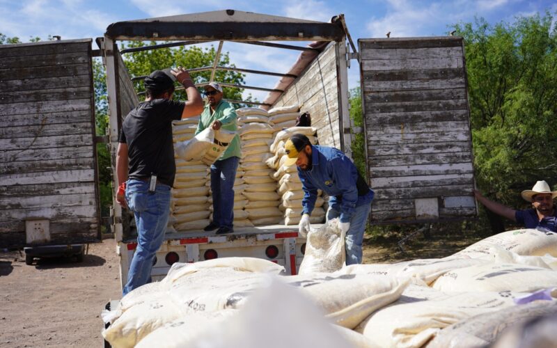 Más apoyo al campo: Estado y Municipio entregan alimento para ganado a mil 150 productores de la zona rural de la Capital