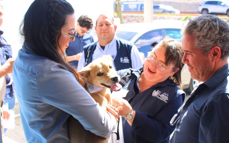 A un año de la creación de la Coordinación de Medio Ambiente y Protección Animal; Municipio cumple con miles de acciones para un mejor entorno