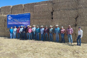 Fortalece Estado al campo chihuahuense; entrega más de 140 mil pacas de rastrojo a 15 mil productores
