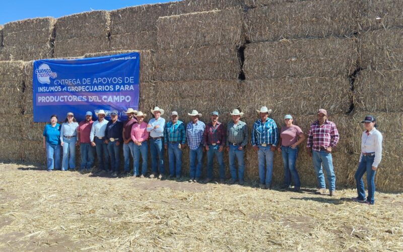 Fortalece Estado al campo chihuahuense; entrega más de 140 mil pacas de rastrojo a 15 mil productores