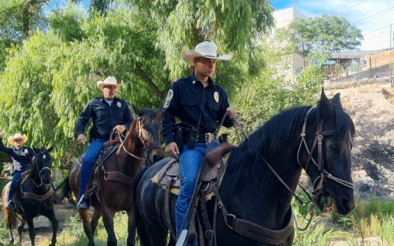 Fortalece DSPM la seguridad en zonas de difícil acceso mediante la Policía Montada
