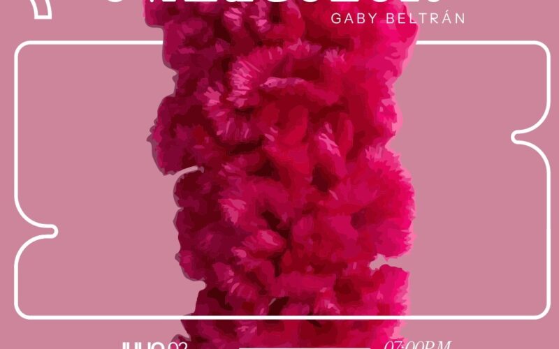 Invita Municipio a inauguración de la exposición «Ovaricolor» de la artista Gaby Beltrán