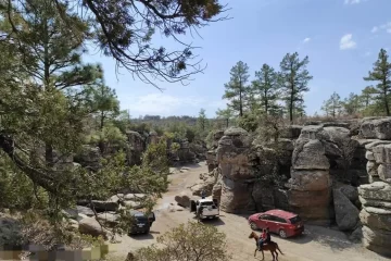Cumbres de Majalca: Cómo llegar y qué hacer en este bosque a una hora de Chihuahua capital