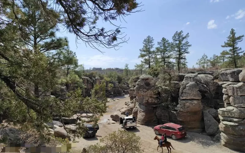 Cumbres de Majalca: Cómo llegar y qué hacer en este bosque a una hora de Chihuahua capital