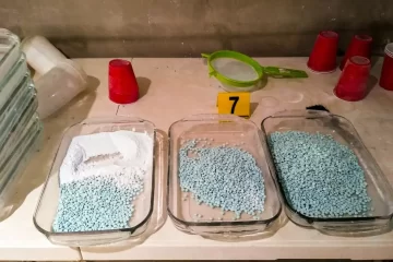 Cárteles mexicanos exportan el «know-how» criminal a mafias de Europa, Asia y África
