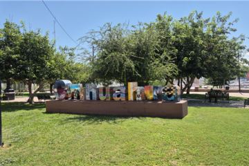 Brinda Municipio atención integral a El Palomar: un parque histórico que hoy vuelve a brillar