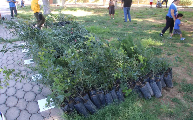 Entrega SDR mil árboles en conmemoración del Día Nacional del Árbol