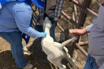 Continúa Gobierno del Estado barrido sanitario para prevenir el GBG en Parral