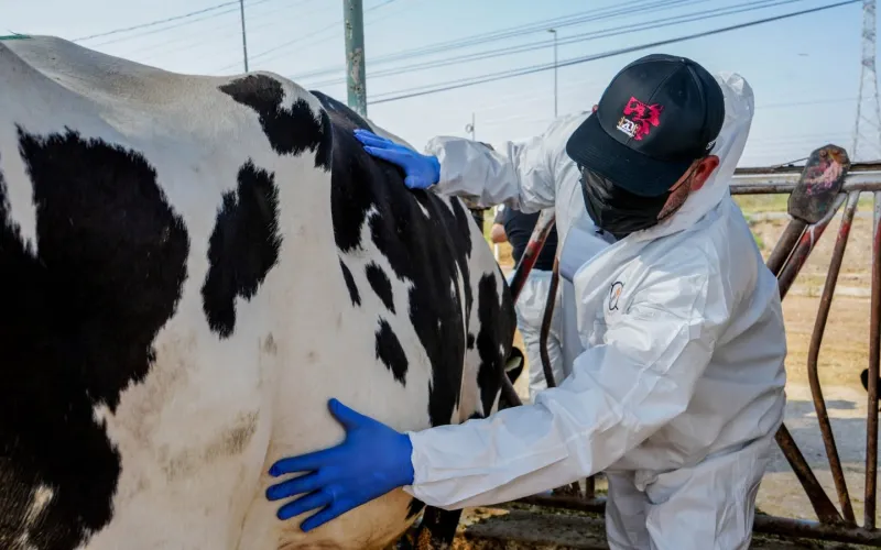 Mantiene Chihuahua acciones de prevención, vigilancia y reforzamiento sanitario contra el GBG