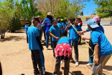 Cumple Marco Bonilla con áreas verdes: mantiene Municipio reforestaciones en la ciudad