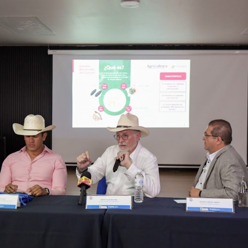 Inicia en Chihuahua la dispersión de mosca estéril para reforzar el blindaje sanitario contra el Gusano Barrenador del Ganado