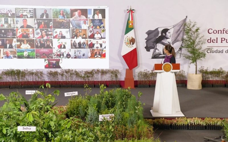 Chihuahua participará en Jornada Nacional de Reforestación 2026