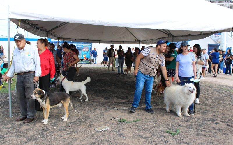 Fortalece Municipio protección animal con exitosa jornada en Parque Fundadores