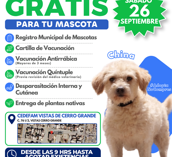 Invita Municipio a jornada gratuita de vacunación para animales de compañía en Vistas Cerro Grande