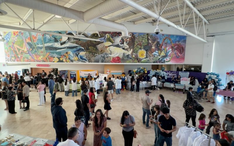 Impulsa DIF Estatal divulgación científica desde Museo Semilla