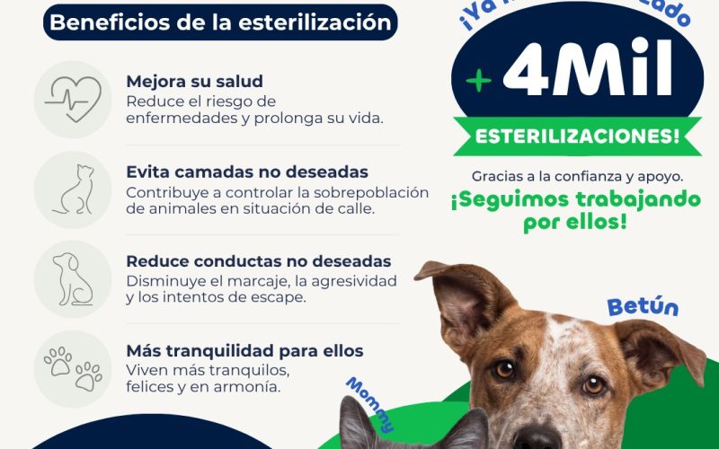 Impulsa Municipio la esterilización como estrategia para prevenir la sobrepoblación animal