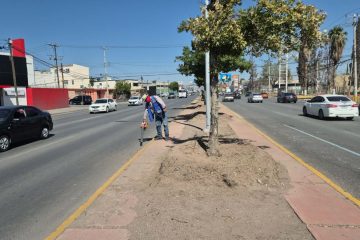 Mantiene Municipio limpieza permanente de vialidades; retira 246 toneladas de basura en agosto