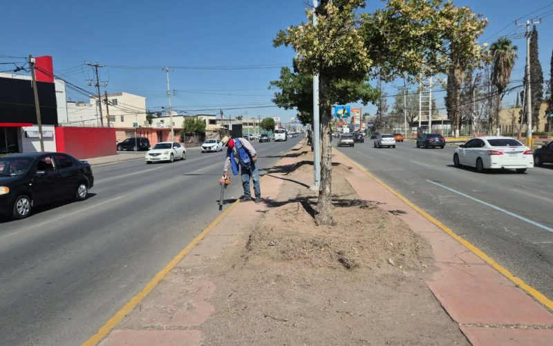 Mantiene Municipio limpieza permanente de vialidades; retira 246 toneladas de basura en agosto