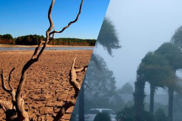El Niño se fortalece y pone al mundo en alerta: podría ser uno de los más intensos en 70 años