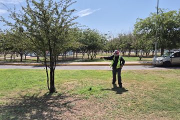 Mantiene Gobierno Municipal fumigaciones diarias en parques y espacios públicos de Chihuahua Capital
