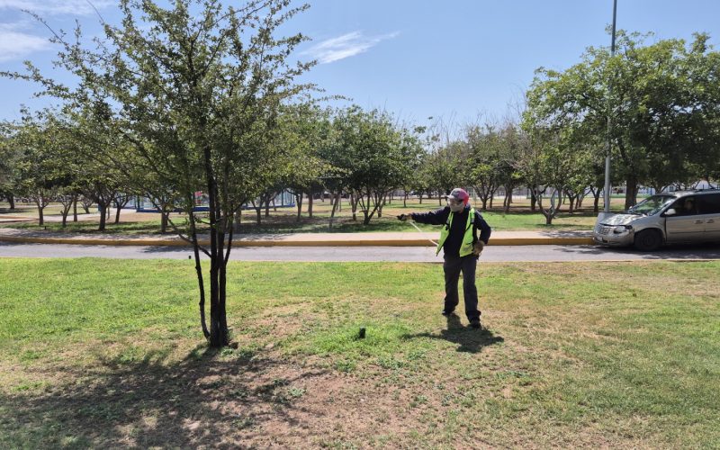 Mantiene Gobierno Municipal fumigaciones diarias en parques y espacios públicos de Chihuahua Capital