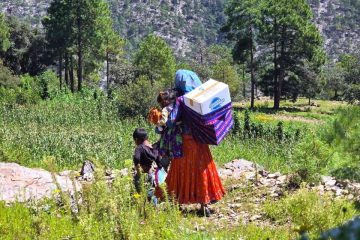 Lleva Estado NutriChihuahua a comunidades de difícil acceso en la Sierra Tarahumara