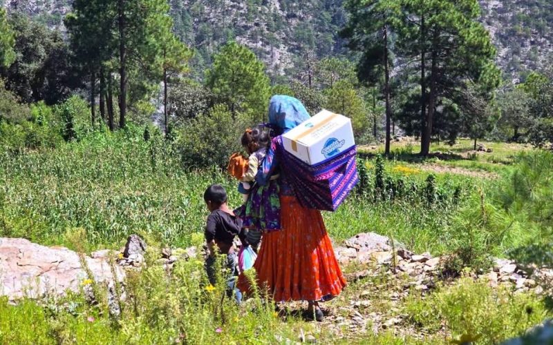 Lleva Estado NutriChihuahua a comunidades de difícil acceso en la Sierra Tarahumara