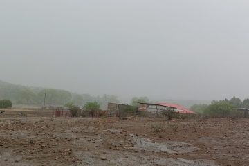 Emite Protección Civil alerta por viento fuerte en la frontera y lluvias en el estado