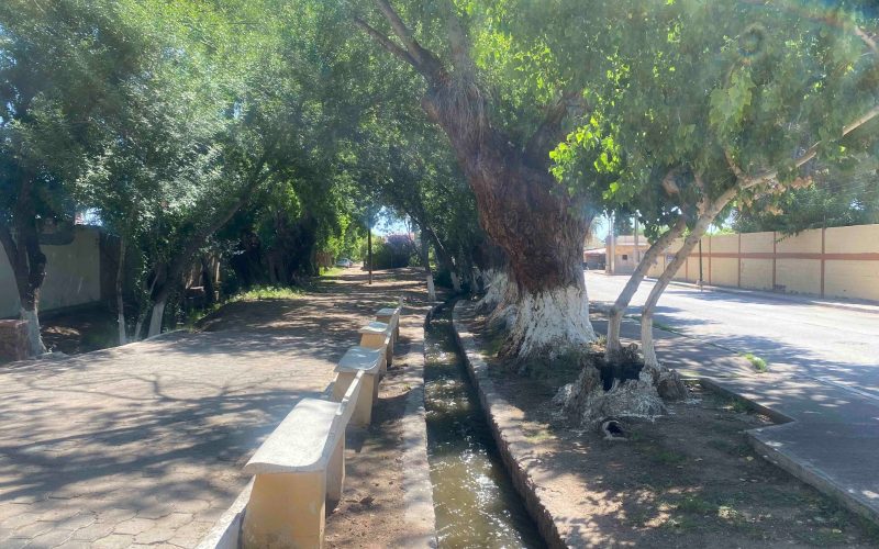 Lleva Gobierno del Estado programa “Colores de Chihuahua” a Aldama