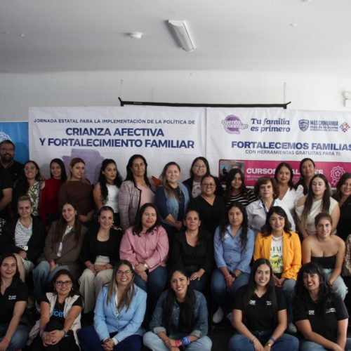 Capacitan DIF Estatal Chihuahua y Unicef a personal de 38 ayuntamientos en temas de crianza afectiva