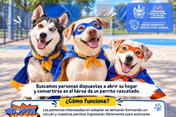 Prepara Municipio evento de adopción donde perritos podrían elegir a su cuidador